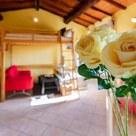 Casa Greta - Monolocale Accogliente Vicino Centro דירה לוקה